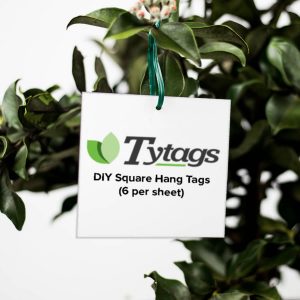 DIY Square Hang Tags 6 per sheet