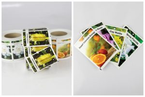 Pictorial Plant Tags