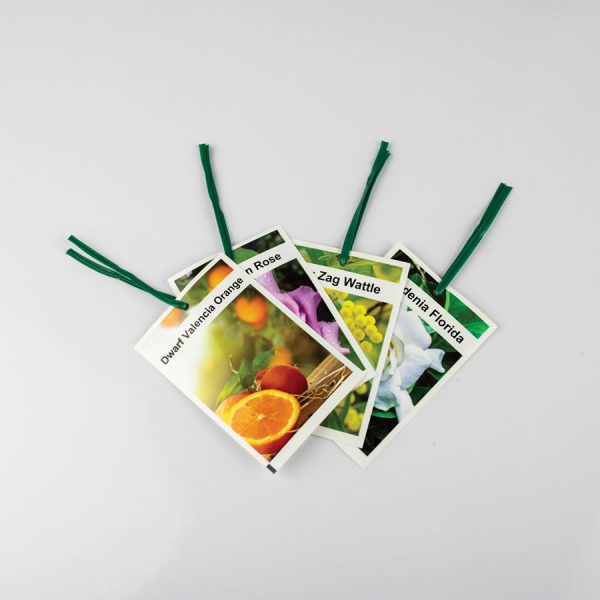 Pictorial Plant Tags - Singles with Twist Ties